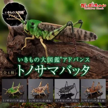 Японски играчки-Гашапон, иконопис същества, модел насекомо, събрана модел играчки-скакалци, игри на декорация, декоративни подаръци за деца